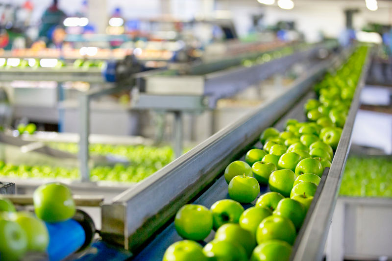 Food Processing and Handling