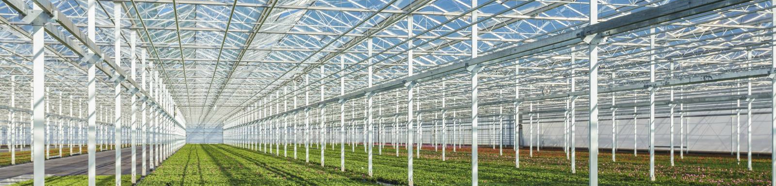 Greenhouses