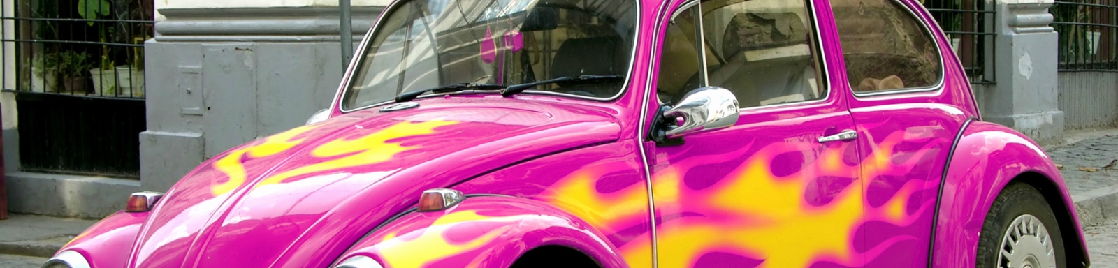 Vehicle Wraps