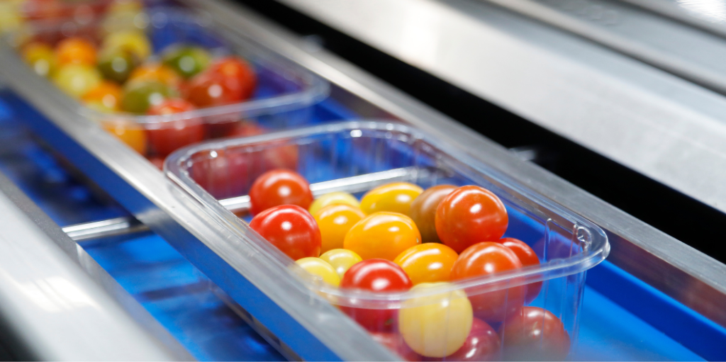 food processing  tomatoes