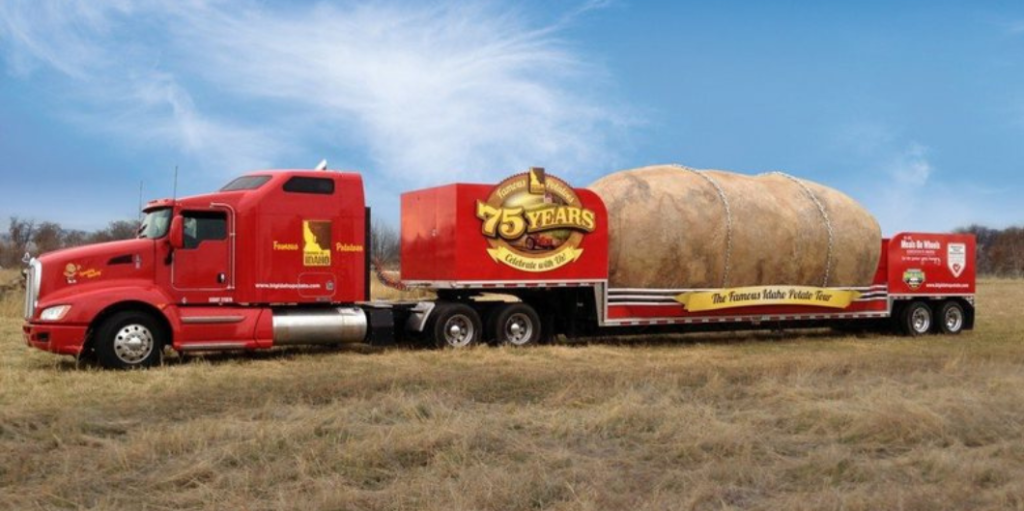 potato image